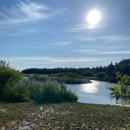 Zijperweg Vakantiehuis Vlakbij Zee, Strand En Bos Петтен Экстерьер фото